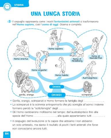 evoluzione dell’homo habilis