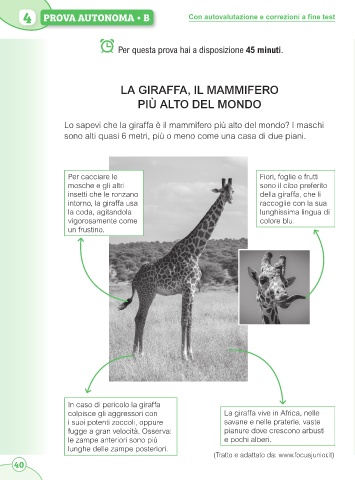 giraffa a due zampe